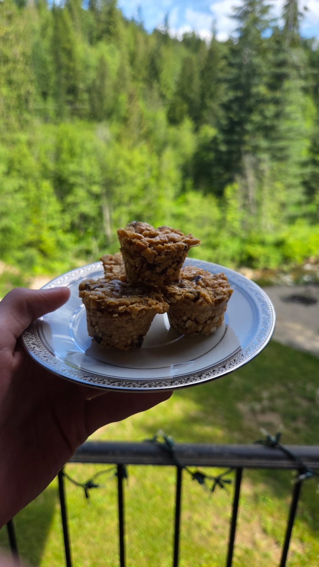 Hiram's mini bites batch 1